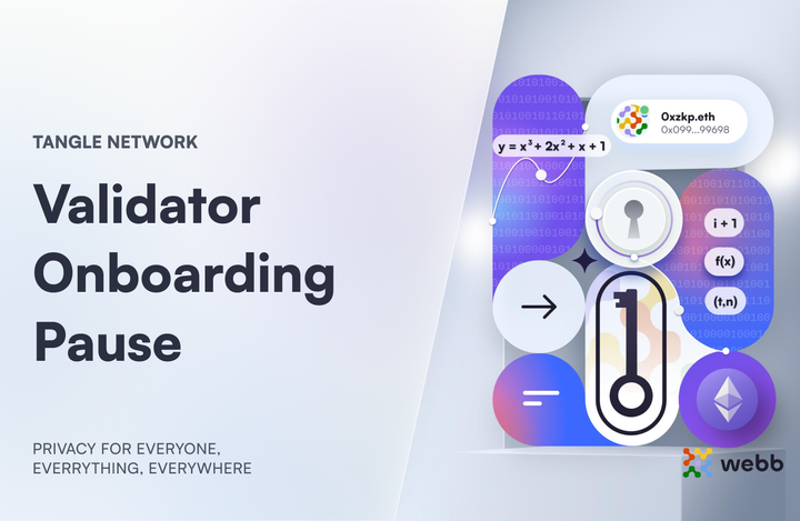 Tangle Network Validator Onboarding Pause